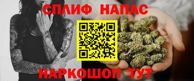 гидра Свободный