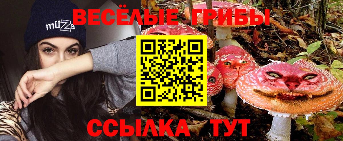 Галлюциногенные грибы мухоморы  Вход с VPN  Галлюциногенные грибы мицелий  Новотроицк 